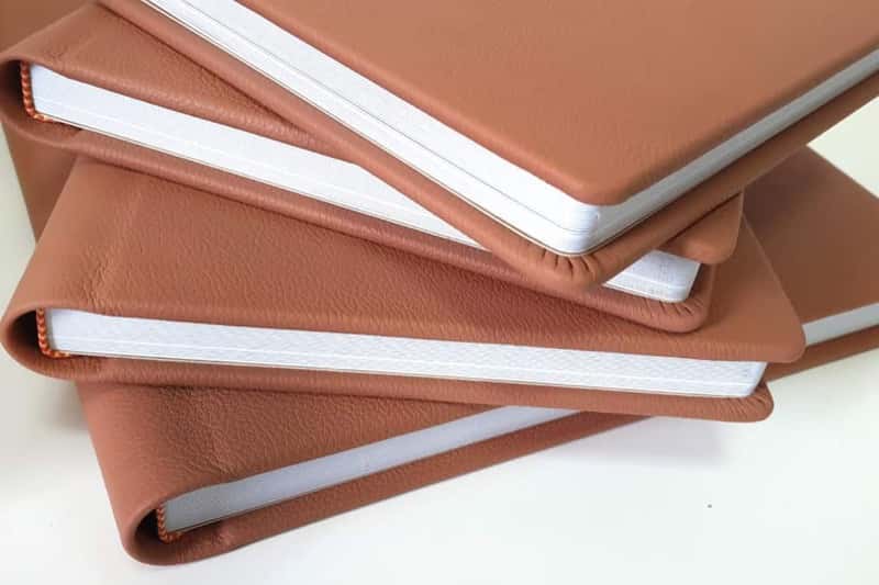 Albumelu portfolio 1